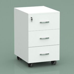 BAS Office File & Storage Cabinet 12