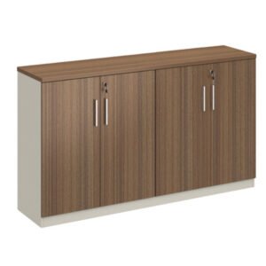 BAS Office File & Storage Cabinet 17