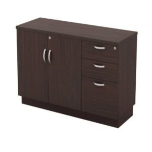 BAS Office File & Storage Cabinet 19