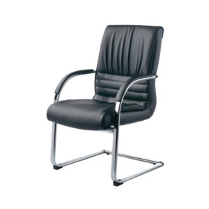 Fendi Visitor Chair