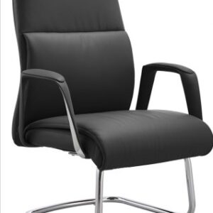 Bryan Executive Visitor Chair (Black / Grey)