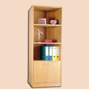 FILE CABINET WITH GLASS AND 2 SMALL DOOR